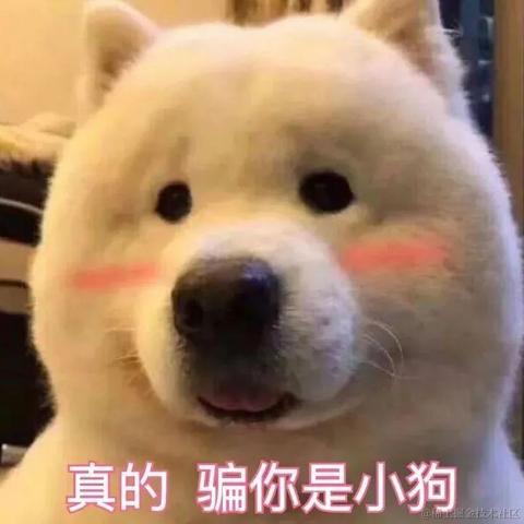 pp酱于2020-09-29 13:32发布的图片