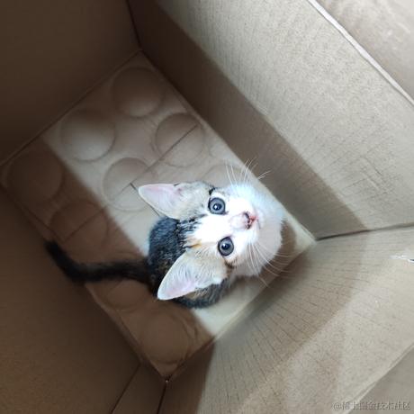 断桥落雪于2023-08-03 17:27发布的图片