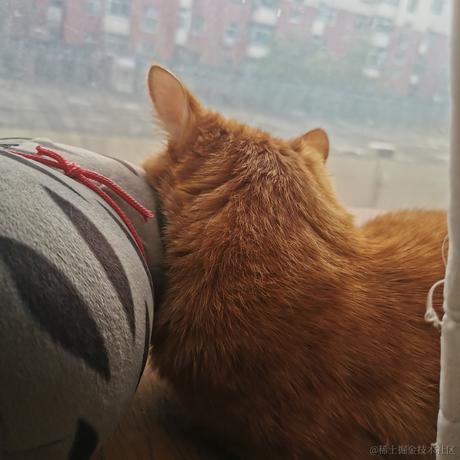 鲨脆脆脆于2023-06-02 09:00发布的图片