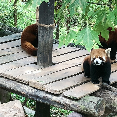 魔法小姬菇于2023-01-18 17:06发布的图片