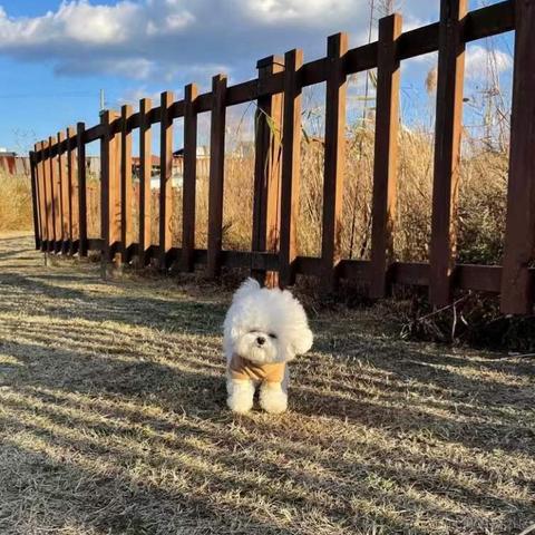 BooBoo于2021-12-24 10:20发布的图片