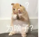 image-20231013110400550.png