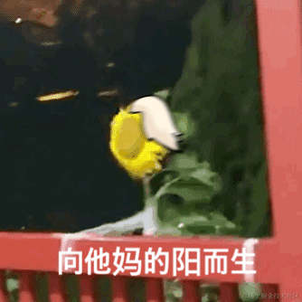 用户6777132792626于2023-07-03 09:52发布的图片