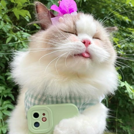 白影于2022-11-16 23:58发布的图片