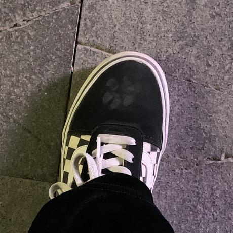 皮皮琦于2021-01-19 16:27发布的图片
