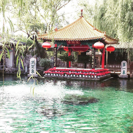 悔不该杀那华佗吆于2023-05-23 18:15发布的图片