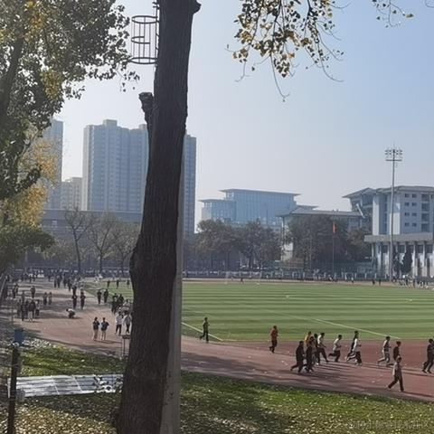 向晚太魔王于2022-11-25 18:21发布的图片