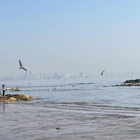 Masters于2023-03-27 16:35发布的图片