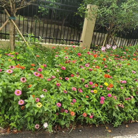 打卡二十一天于2023-06-22 23:10发布的图片