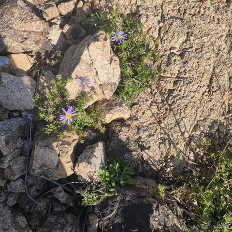 顶碗银于2022-12-20 17:39发布的图片