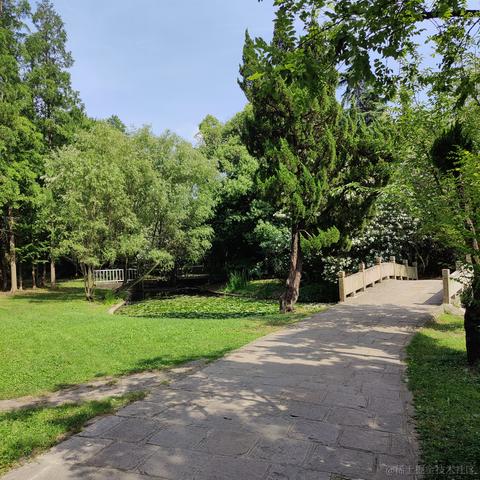 吃鱼徐于2023-06-04 18:33发布的图片