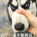 我大意了于2022-12-05 11:15发布的图片