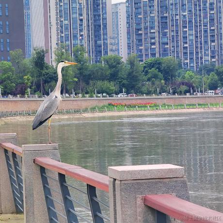 牛肉烧板黎于2022-06-07 13:11发布的图片