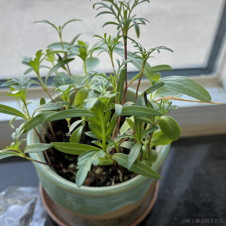 codeniu于2023-05-24 08:25发布的图片