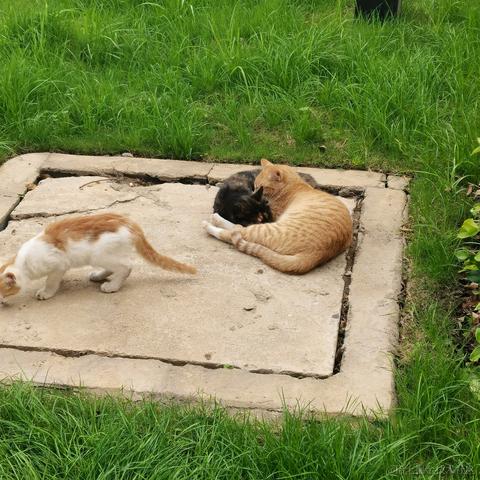 顶碗的王木木于2022-11-24 09:12发布的图片