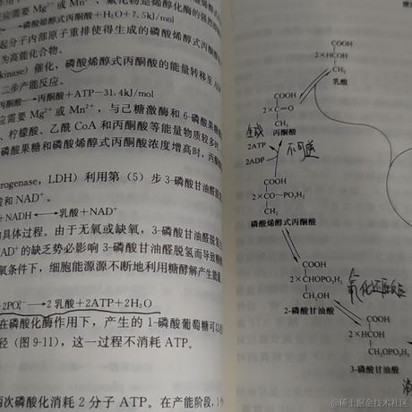 仪沉香于2022-11-09 16:26发布的图片
