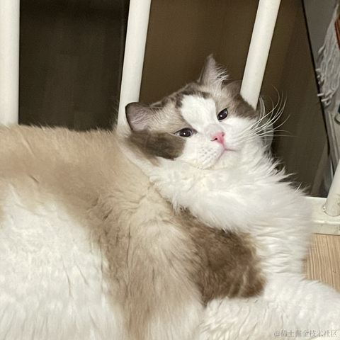 端盘花生米于2022-10-20 17:08发布的图片