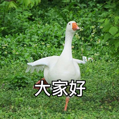 天9于2022-05-09 09:14发布的图片