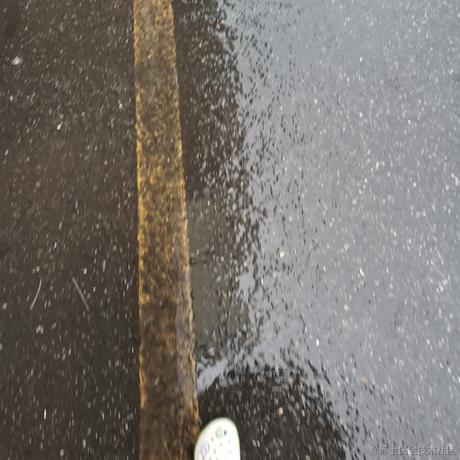 咩咩叫咩吖于2022-06-09 08:44发布的图片