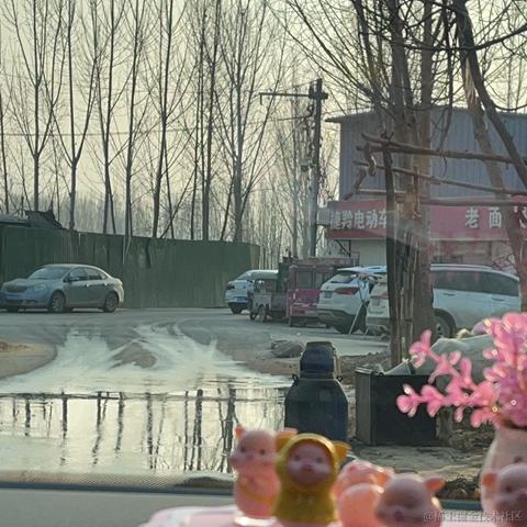 小瓜蛋于2023-01-18 20:17发布的图片