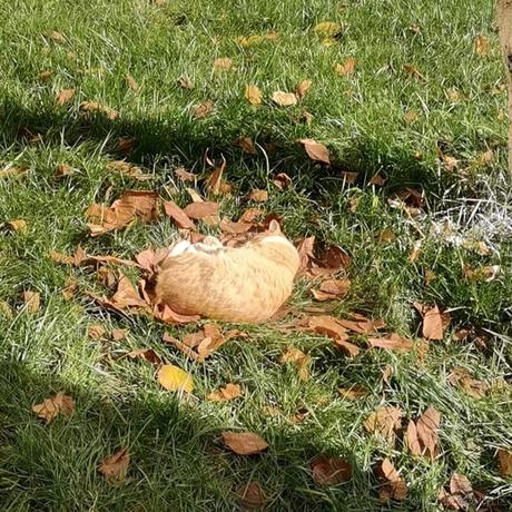 顾蘅于2022-11-23 20:30发布的图片