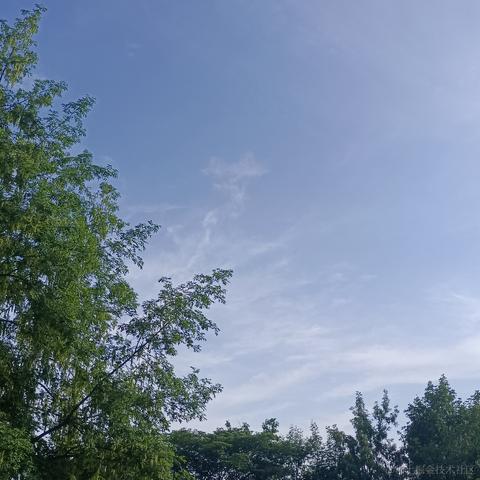 落月染紫于2023-05-16 09:28发布的图片
