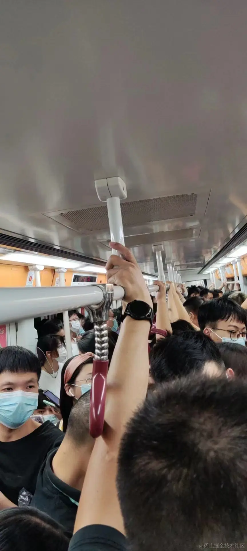 龙归.jpg
