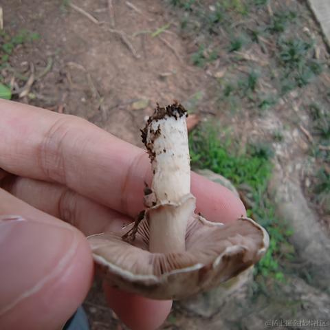 Uwiling于2022-12-01 21:16发布的图片