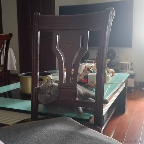 尤依莉于2022-06-25 16:21发布的图片