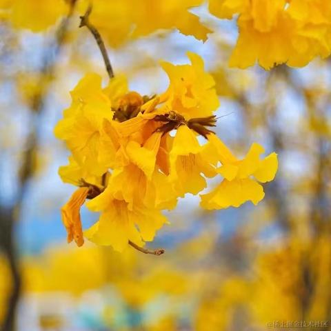媛媛啊9813于2024-03-18 23:44发布的图片
