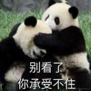 功夫兔小子的个人资料头像