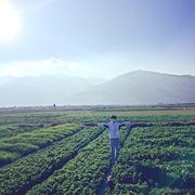 Bunlun的个人资料头像