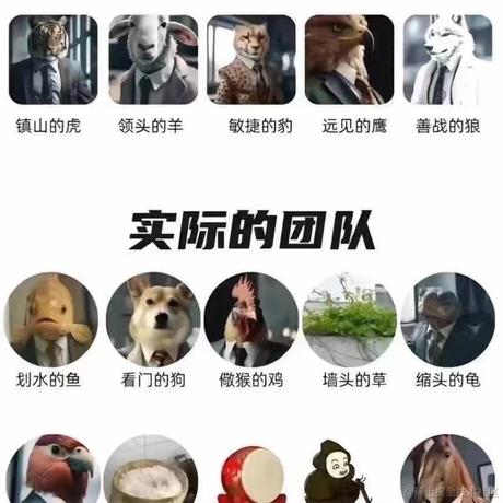 蓝斑_json于2024-01-12 13:39发布的图片