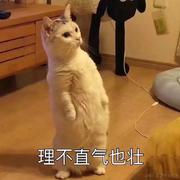 门楠的个人资料头像