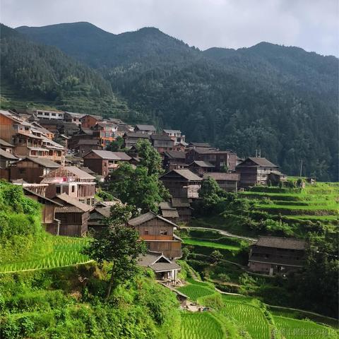 雕狸狮狒于2024-06-24 10:14发布的图片