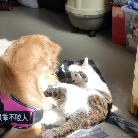 吉比特雷霆游戏HR于2021-01-21 16:53发布的图片