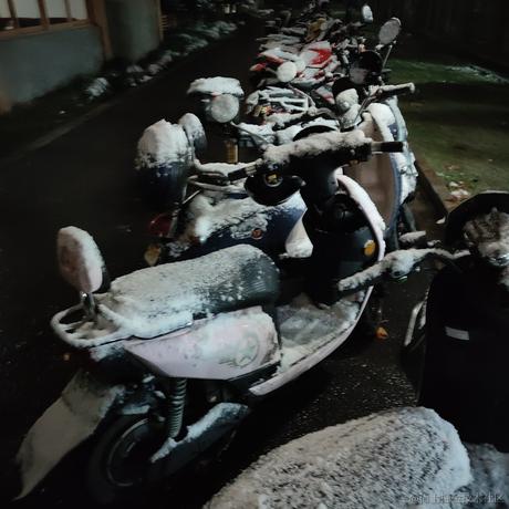 风信子离开向晚于2022-12-02 00:28发布的图片