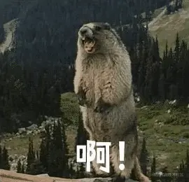 chrome-capture (1).gif
