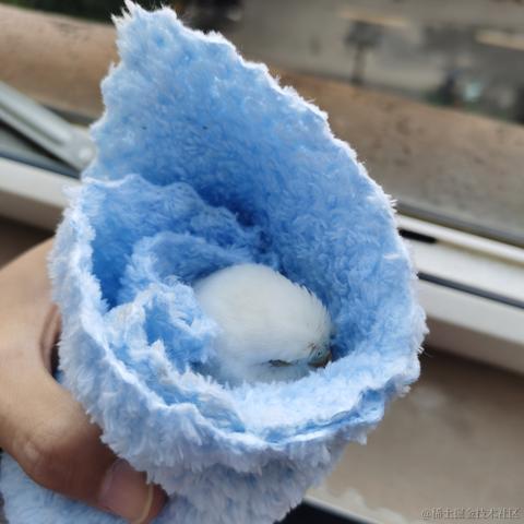 艾尔熙德于2023-11-17 10:46发布的图片