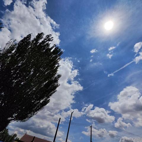 王木拉于2023-06-21 13:27发布的图片