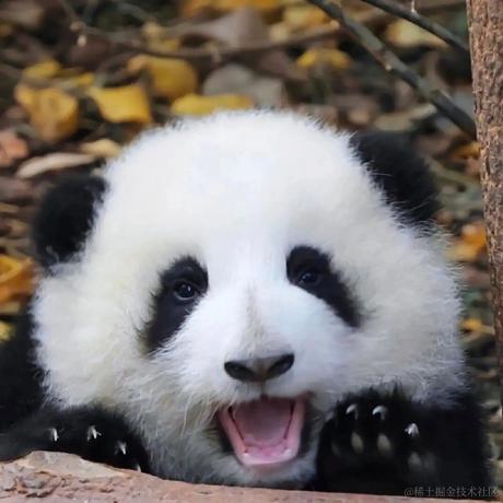 hoho于2023-04-07 09:17发布的图片