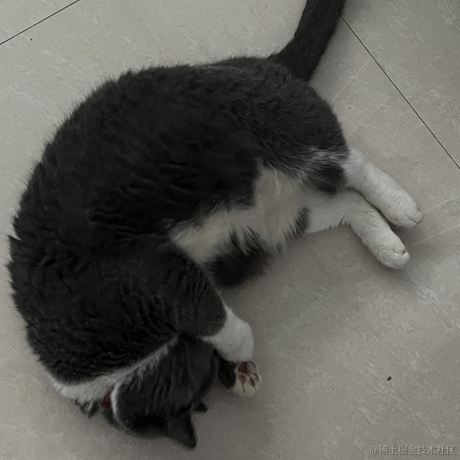 王族蓋于2022-12-11 08:18发布的图片