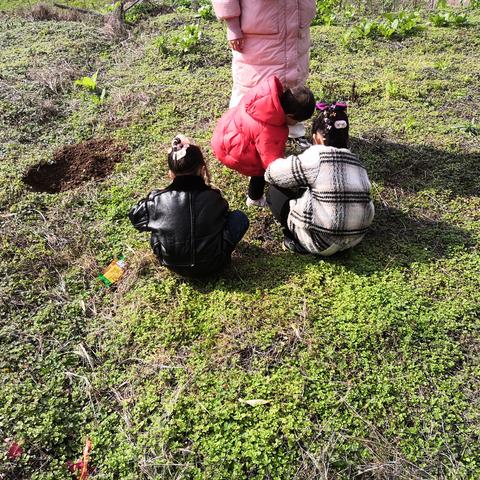 卑微打工仔在线陪聊于2023-01-24 20:05发布的图片