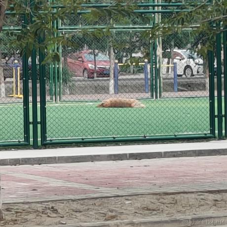 困困小孩救济中心于2022-11-17 09:30发布的图片