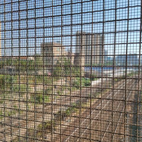 静心晚子于2022-11-21 11:46发布的图片