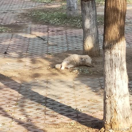 御坂御坂n0808号于2022-12-15 23:39发布的图片