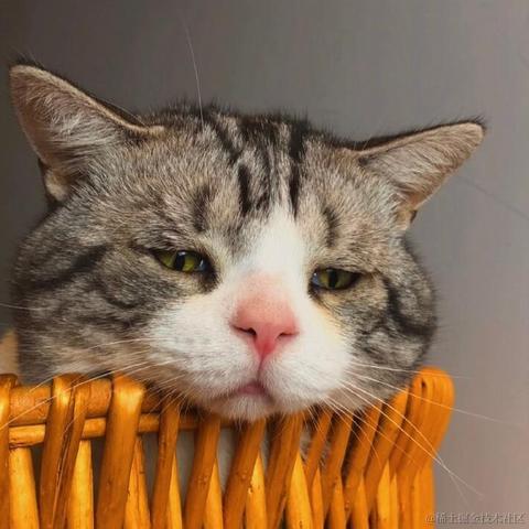 已注销于2021-04-21 09:34发布的图片