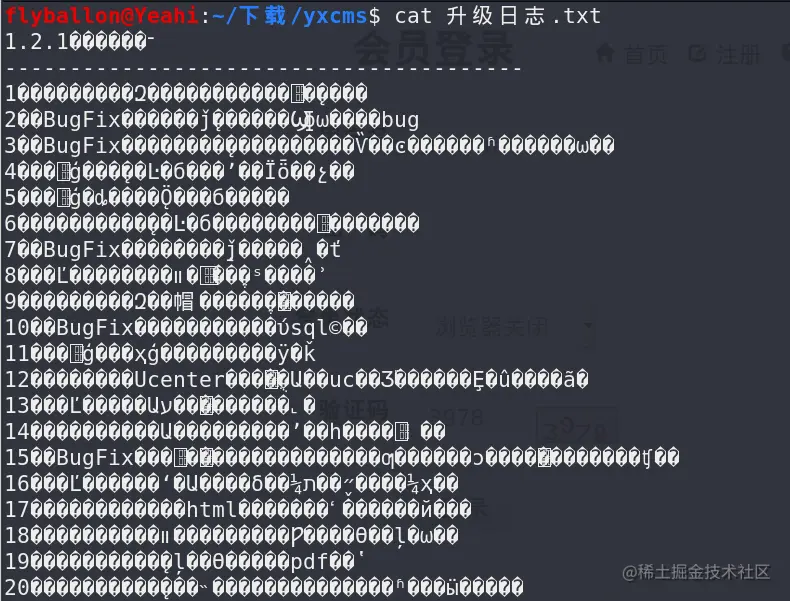 乱码