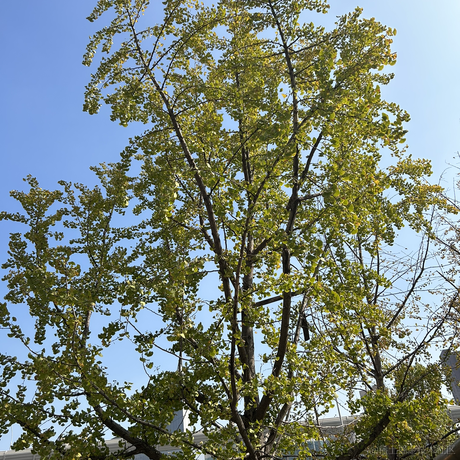 莫仁人于2022-11-17 12:47发布的图片