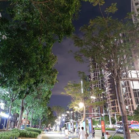 鲨鱼辣椒哦买嘎于2021-06-08 21:00发布的图片